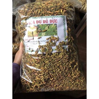 Hoa Đu Đủ đực