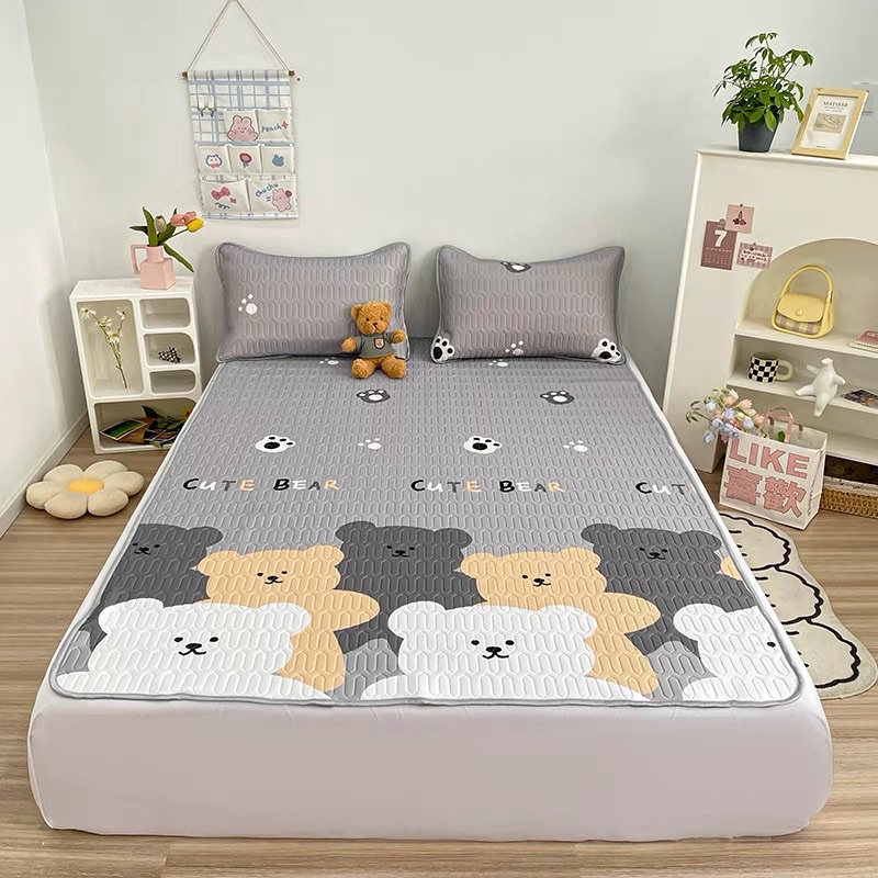 Chiếu điều hoà cao su non 2D vải lụa mát hàng đồng giá siêu rẻ
