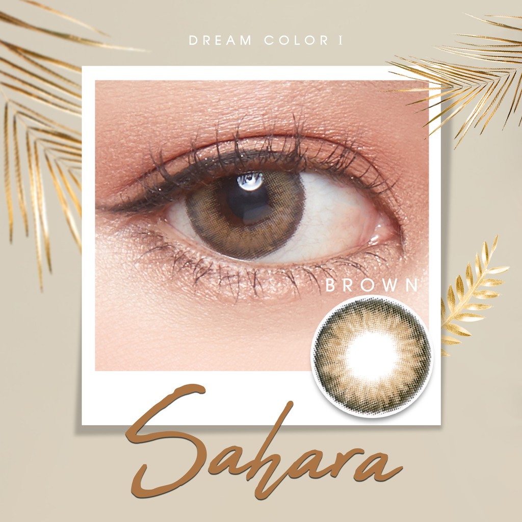 (Hàng Mới Về) Mascara Sahara By Dream Color 1 (- 0.25 S.D - 6.00) Unit Price