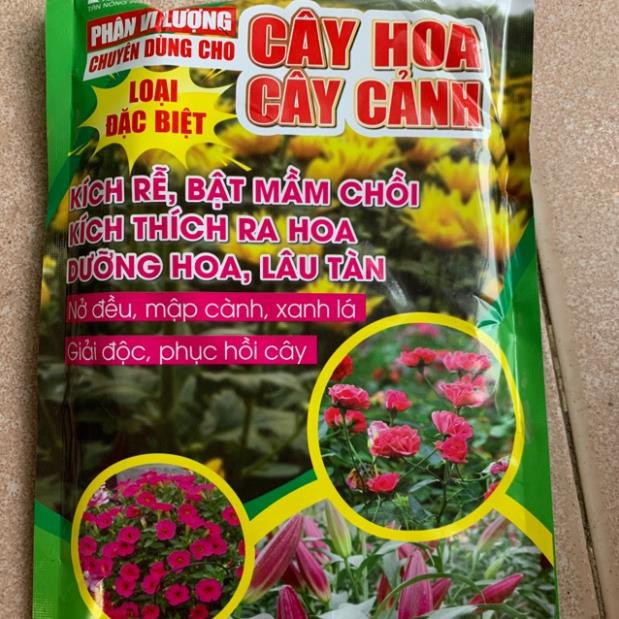 Phân bón chuyên dụng cho hoa và cây cảnh