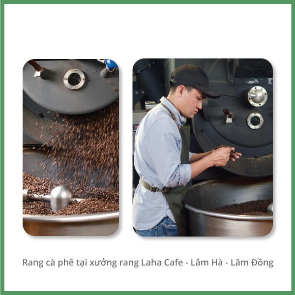 Set 4 gói cà phê phin Robusta Đan Phượng, Tân Hà, Hoài Đức, Phúc Thọ từ vùng đất Lâm Hà, mỗi gói 250g | BigBuy360 - bigbuy360.vn