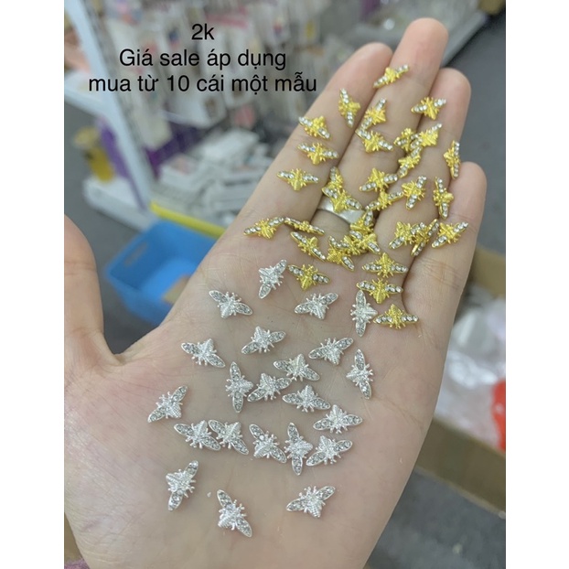 Cham hình đính móng