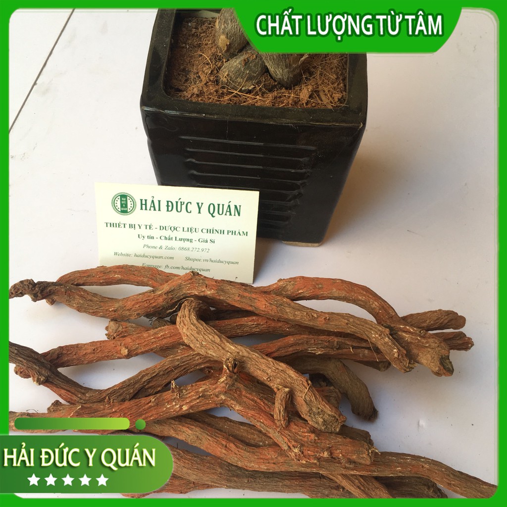Đan Sâm Tứ Xuyên  Nguyên Rễ Siêu To, đẹp, Thơm