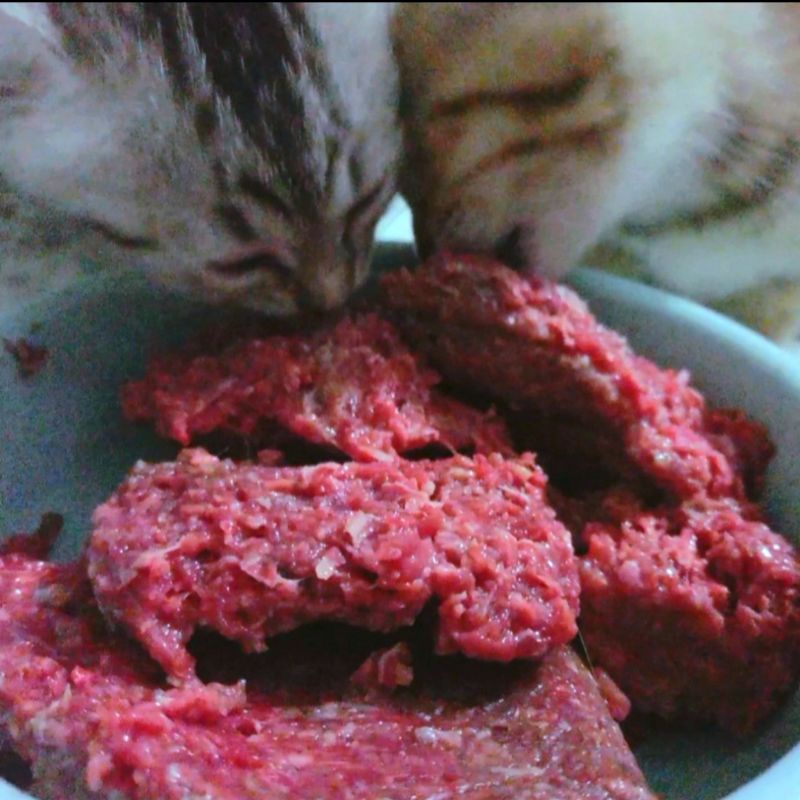 500Gr/1Kg Raw Chim Cút đã bỏ ruột phau câu làm sạch cho 🐶🐱❤️/ Thức ăn tươi cho chó mèo - Joyful Day - GIAO HỎA TỐC