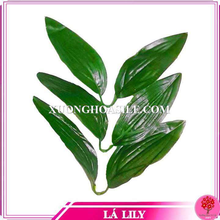 LÁ LY GIẢ 10 NHÁNH