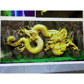 tranh 3d. tranh dán bể cá thủy sinh, bể cá rồng (tranh lưng)