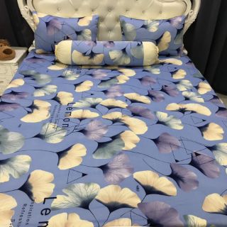 Drap thun hàn quốc