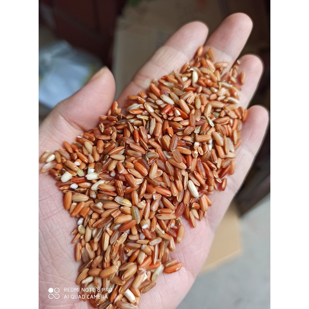 GẠO LỨT ĐỎ ĐIỆN BIÊN HÚT CHÂN KHÔNG (GÓI 2KG)