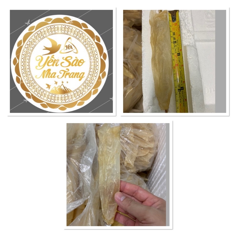 Bong bóng cá cao cấp_ bong bóng cá chẽm