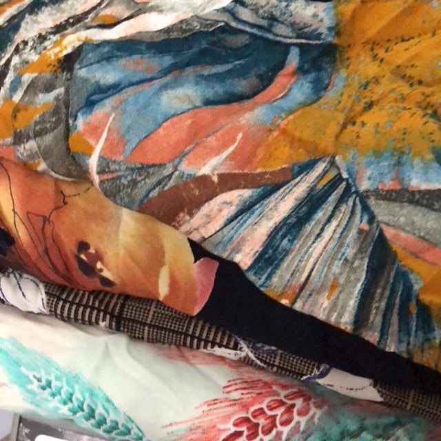 Nguyen anh dao 258..