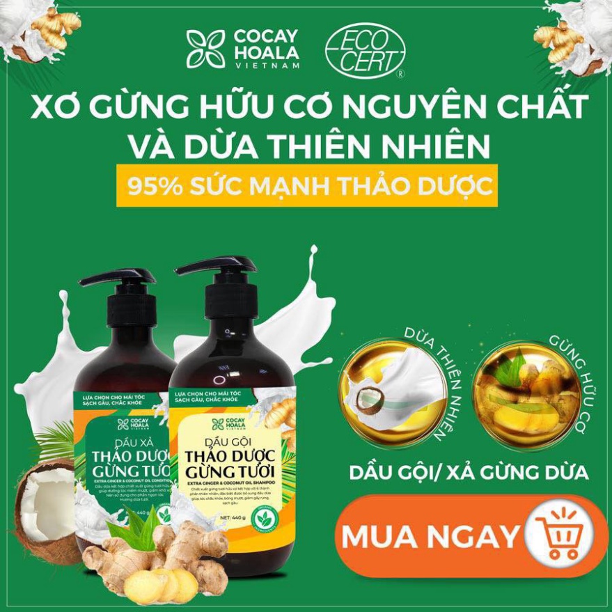 Dầu Gội - Xả thảo dược gừng dừa hữu cơ (440ml/chai)