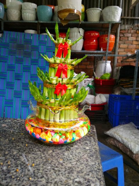 Phát Tài Búp Sen