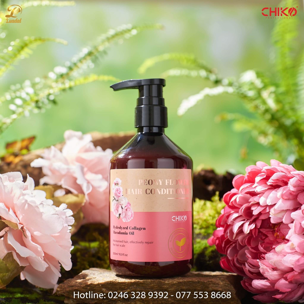Combo dầu gội xả gừng tươi Chiko chính hãng