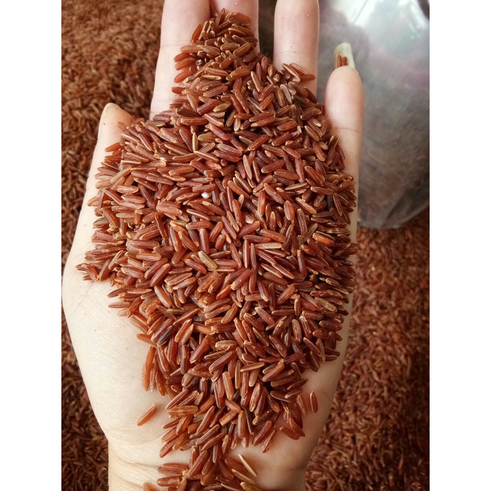 Gạo Lứt Huyết Rồng Miên (1kg) - Campuchia - Thơm, mềm từng hạt