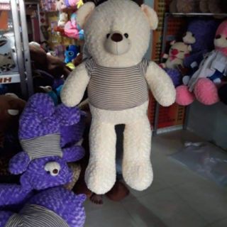 Gấu Bông Teddy khổ 1m8 giá kho