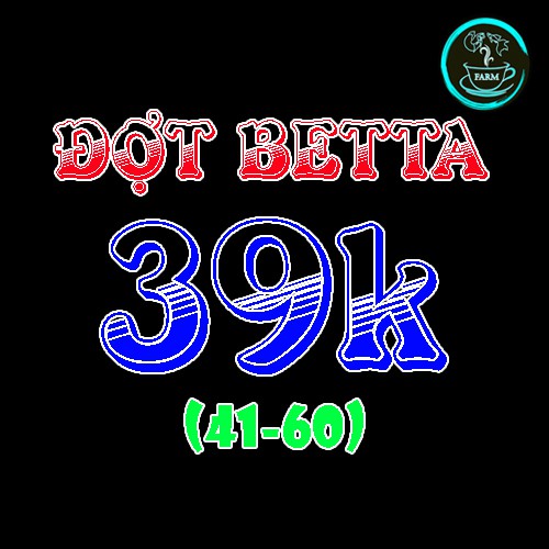 Trang Trí Hồ BETTA 39K