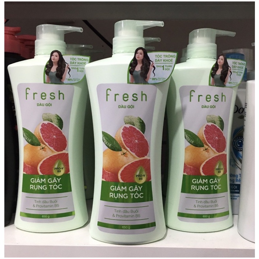 Dầu Gội Fresh Tinh Dầu Bưởi + Tinh Chất Lá Neem - Bổ Sung Tinh Chất Collagen 550g