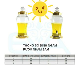 BÌNH NGÂM RƯỢU SÂM 3 LÍT KHÔNG VAN