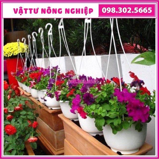 Combo 3 chậu nhựa có dây treo trồng cây và hoa loại Rộng 16cm x Cao 12cm