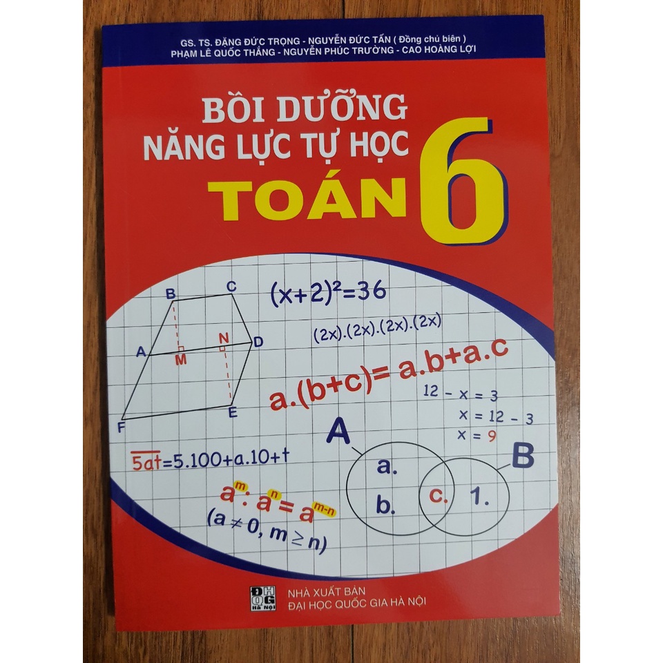 Sách - Bồi dưỡng năng lực tự học Toán 6