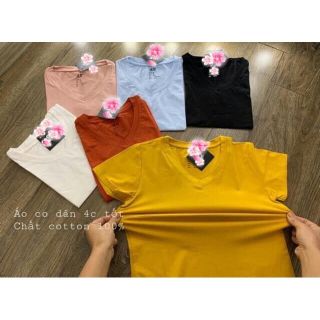 Áo phông trơn cổ tim bảng 6 màu H&M