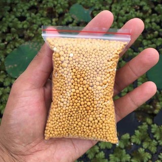 Phân tan chậm hạt vàng npk 14 14 14 oscomote mỹ 50g | handygarden