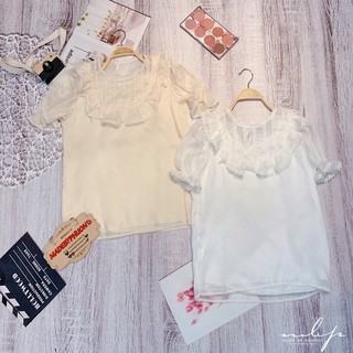 Sơ mi tơ tay cộc cổ ren viền ren