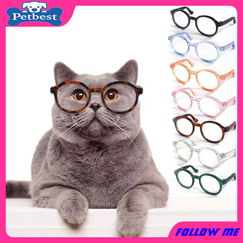 Funny Eyeglasses For Pets