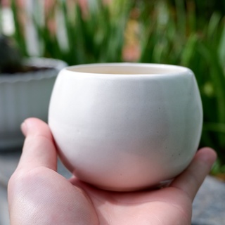 chậu sứ mini hình hạt dẻ