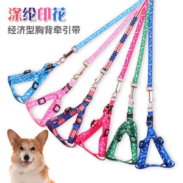 Dây dắt chó mèo đi dạo kèm yếm đủ màu sắc giá rẻ