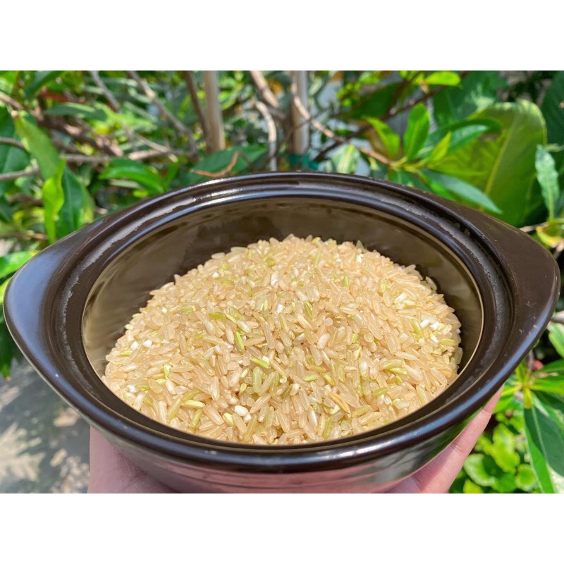 Gạo lứt trắng Séng Cù Mường Khương, gạo lức dẻo ngon cơm tốt cho sức khỏe hỗ trợ giảm cân 1kg | BigBuy360 - bigbuy360.vn