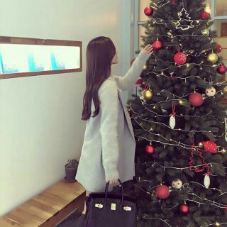 Cây thông noel