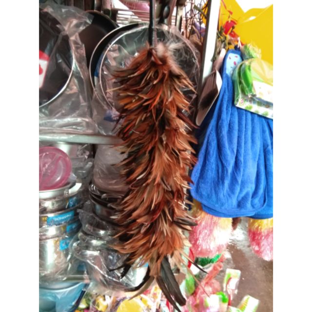 Chổi lông gà