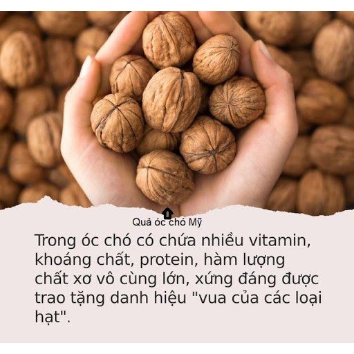 Nhân Óc Chó Vàng Tách Vỏ Mỹ - 500Gr Thượng Hạng