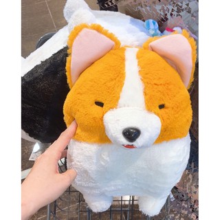 Chó Corgi bông nhe răng hàng Amu chuẩn sịn