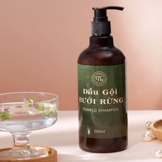 Dầu Gội Bưởi Rừng 500ml TB Cosmetic