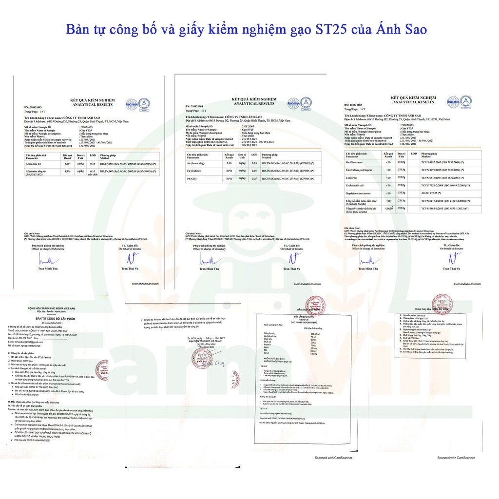 [Chỉ Giao HCM] Gạo ST25 Thơm Thượng Hạng Cao Cấp - Gạo Đặc Sản Sóc Trăng