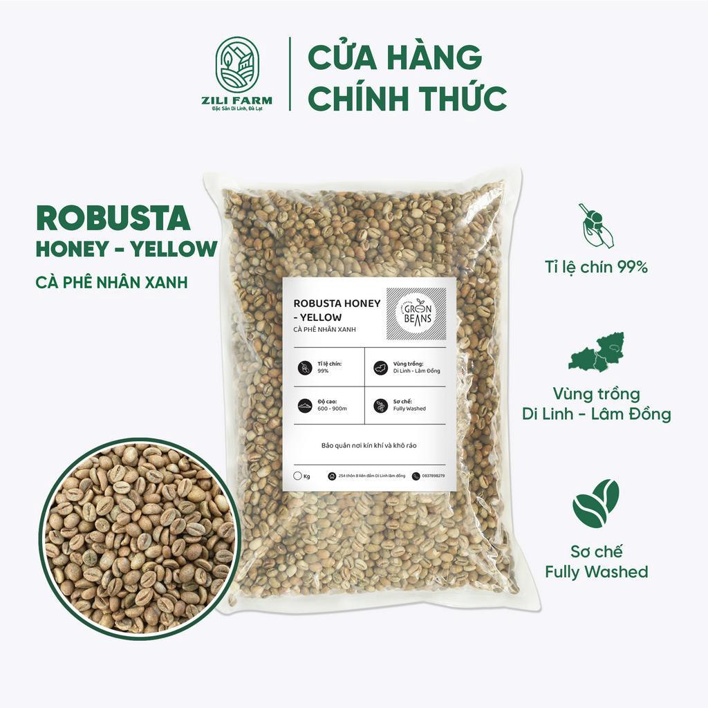 Cà Phê Nhân Xanh Robusta Honey Yellow ZILI FARM chưa rang xay nguyên chất sạch vỏ, đủ độ ẩm [Túi 1kg-3kg-5kg]