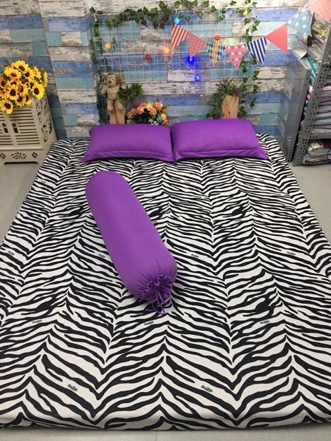 Bộ Drap Thun Vằn phối màu