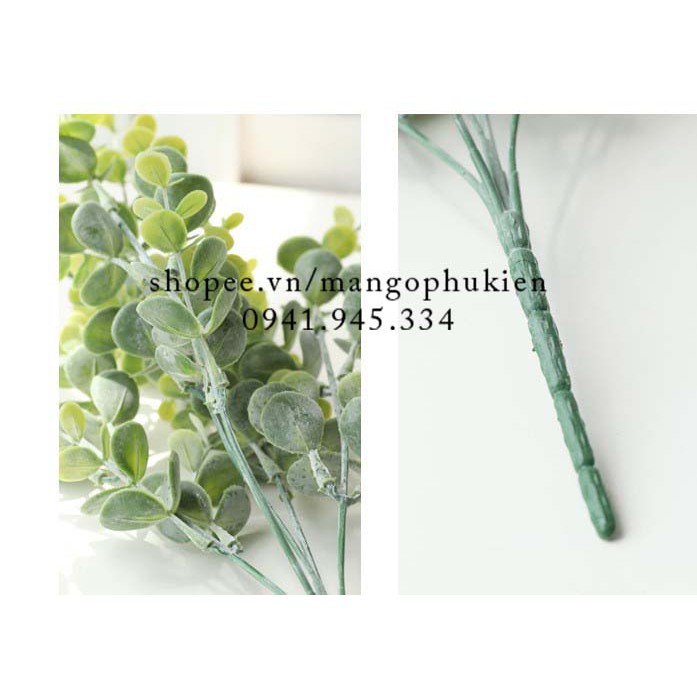 Chùm lá táo nhỏ phủ phấn trắng phụ kiện chụp ảnh decor | BigBuy360 - bigbuy360.vn