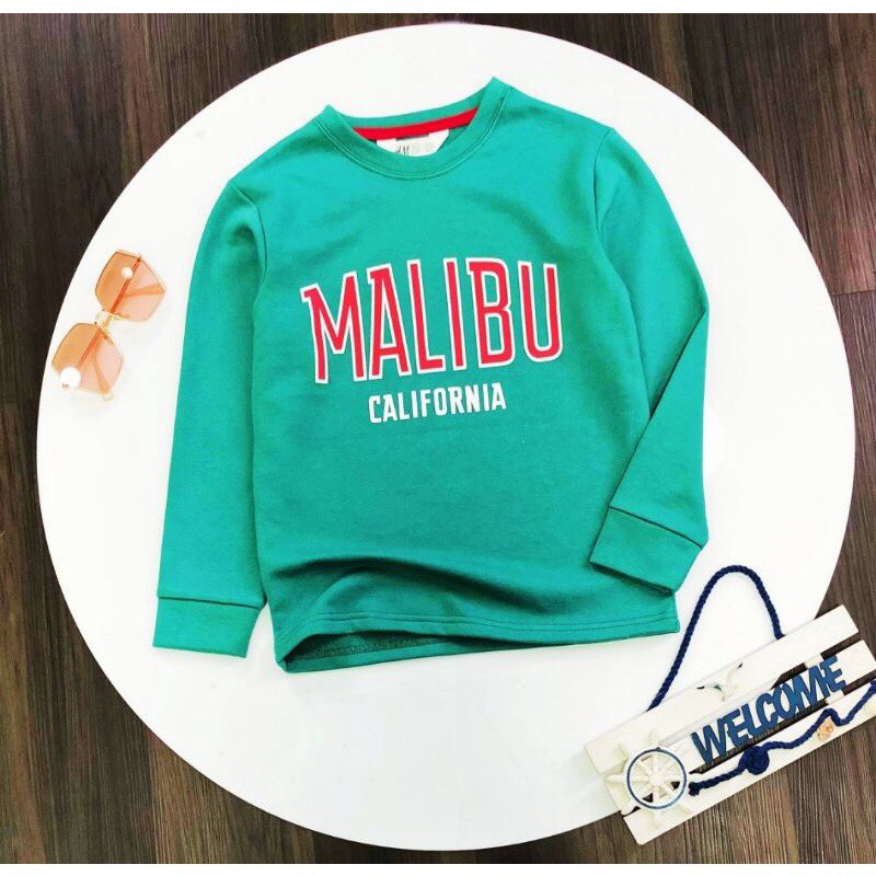 Áo nỉ da cá bé trai size đại thu đông xuất dư HM chất mịn đẹp sz 25 - 59kg