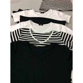 combo 20 áo thun cổ tim free ship