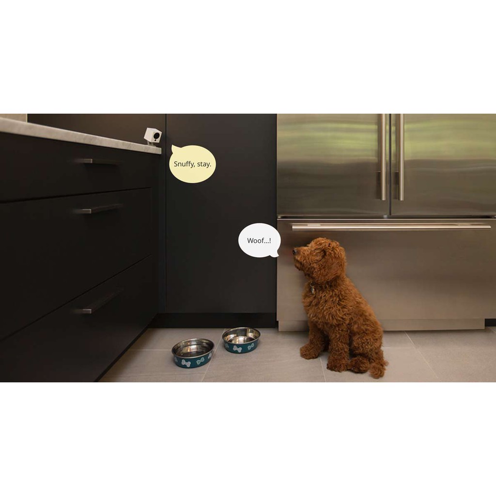 Wyze Cam Ver 2 1080p – Camera IP tương thích Google Assistant & Alexa | BigBuy360 - bigbuy360.vn