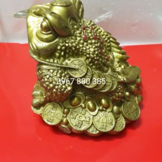 Cụ cóc 20x20, thiềm thừ đế tiền vàng