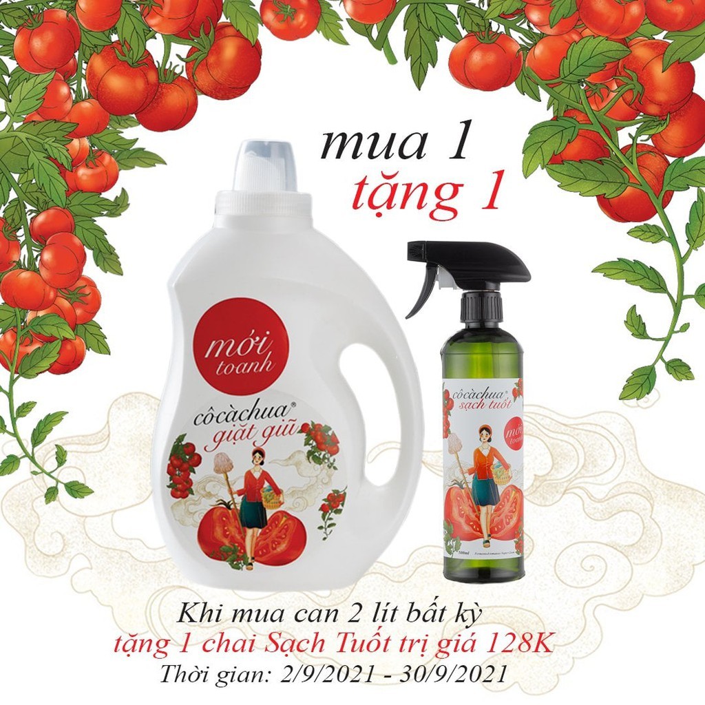 Can nước giặt an toàn, lên men enzyme từ trái cà chua CÔ CÀ CHUA MỚI TOANH