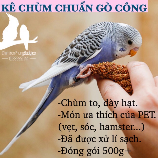 1kg kê chùm/kê bông cho Pet