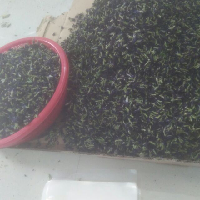 Hoa đậu biếc khô