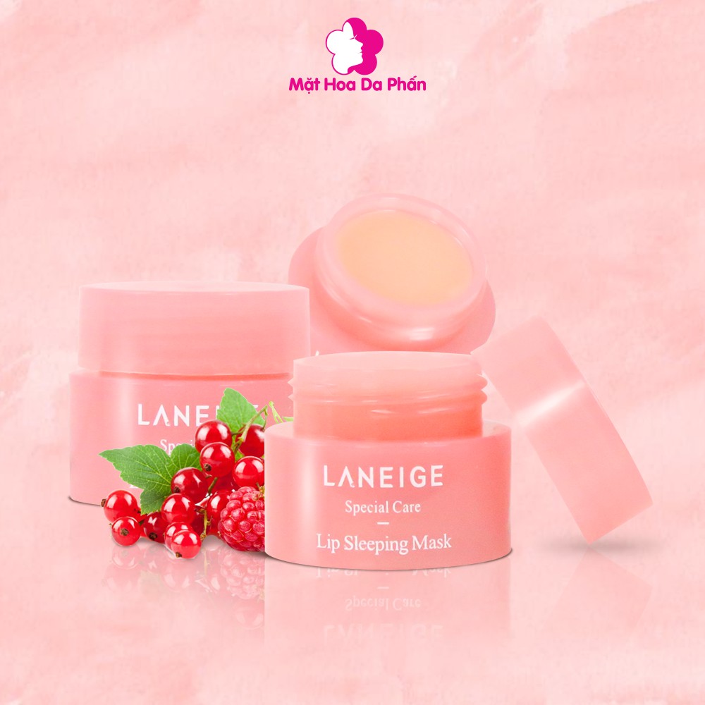 Ủ MÔI LANEIGE MINI HÀN QUỐC | BigBuy360 - bigbuy360.vn