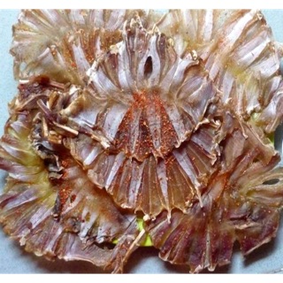 Khô cá đuối