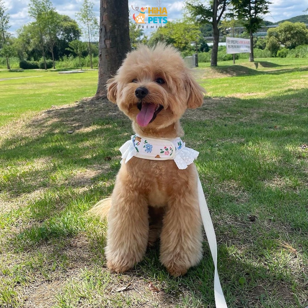 Dây Dắt Chó Mèo Đi Dạo Có Kèm Yếm Dây Dắt Thú Cưng Hàn Quốc Premium Hiha Pets.